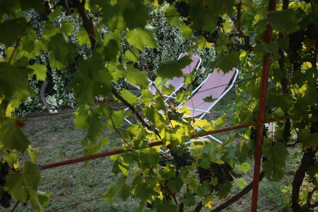 Kucica Ljubcek Βίλα Privlaka  Δωμάτιο φωτογραφία